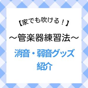 【家でも吹ける！】テスト休み・夏休みの管楽器練習法！おすすめ消音・弱音グッズ紹介